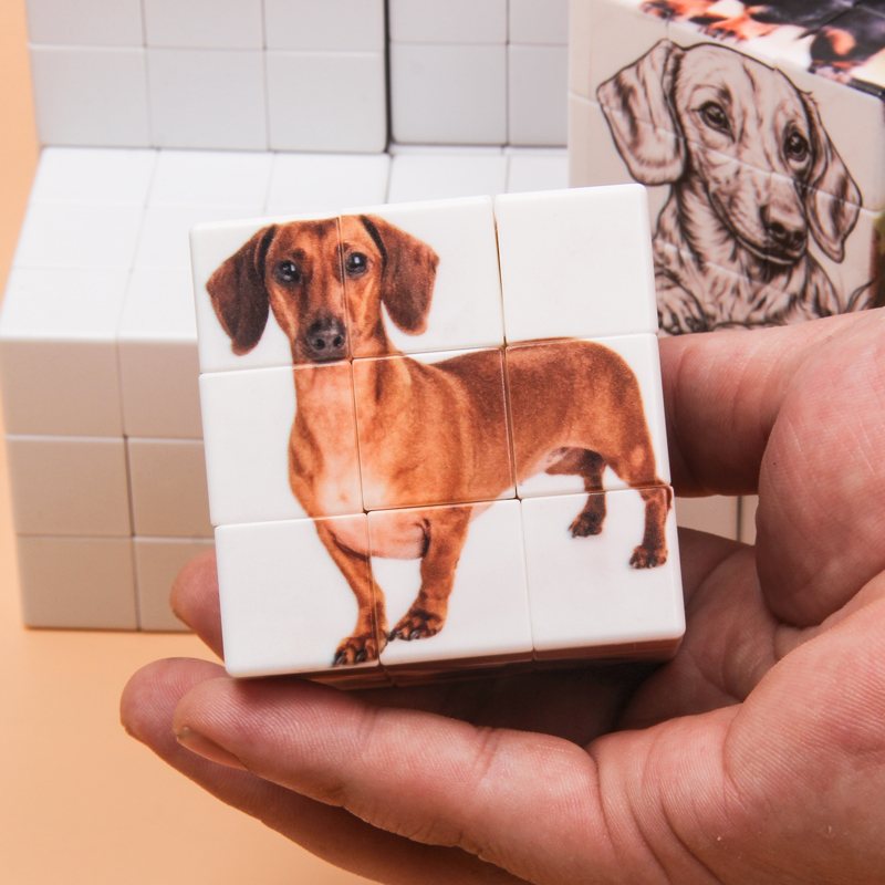 Personalized magic cubes, cust - đánh giá và giá Photography Exhibition